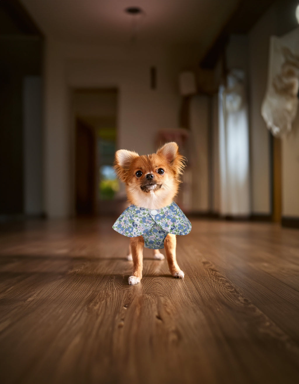 Dog Button Floral Bib