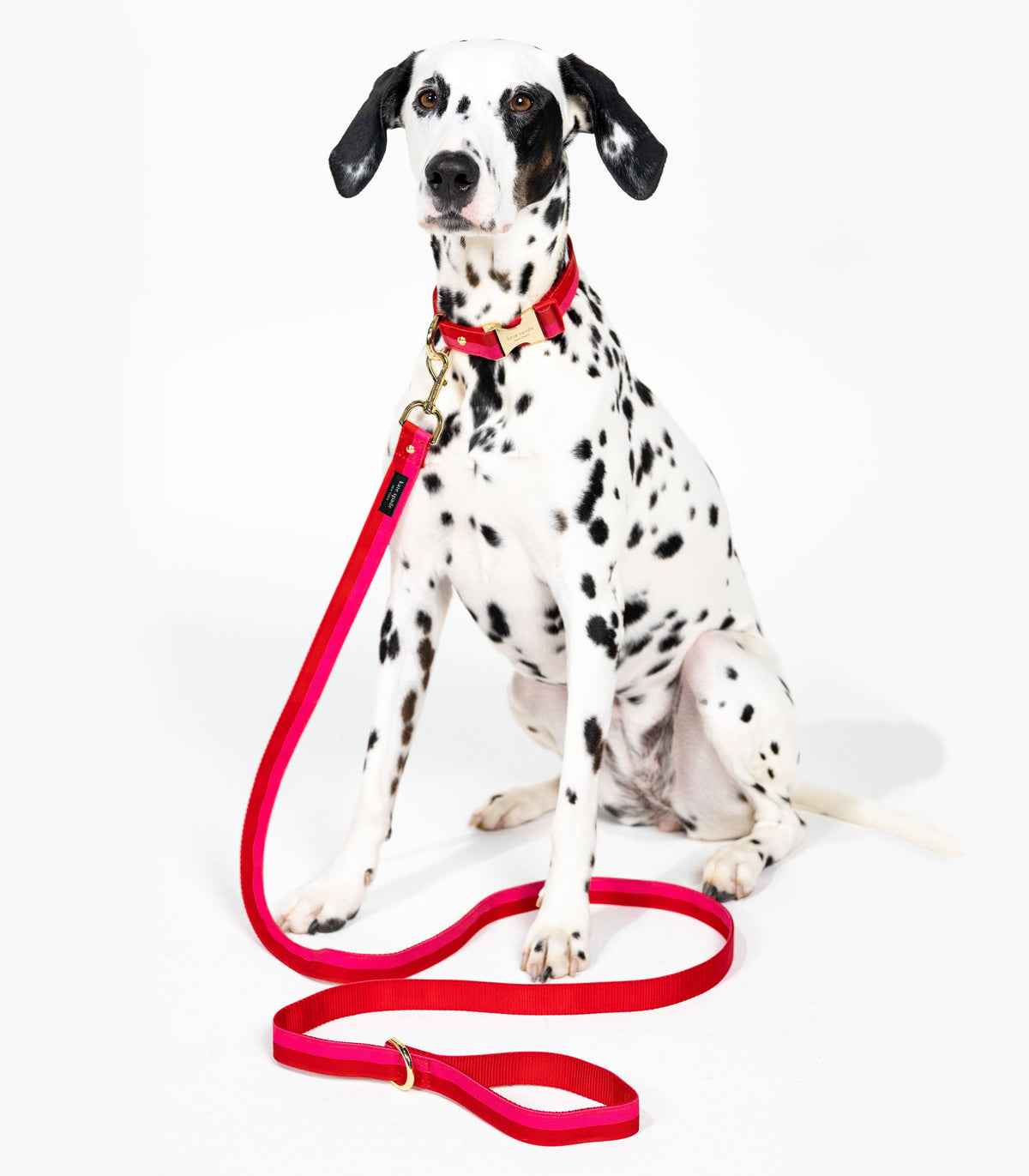 Kate Spade New York Colorblock Leash