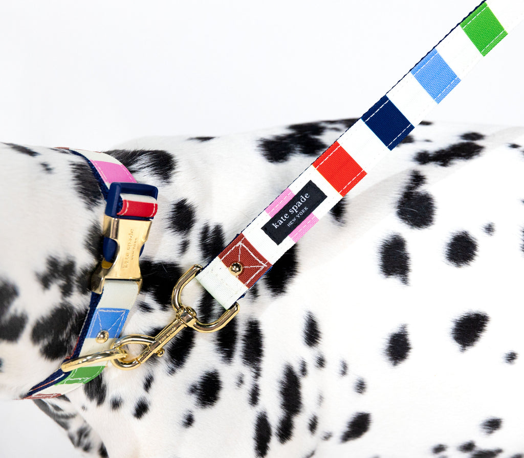Kate Spade New York Adventure Stripe Collar