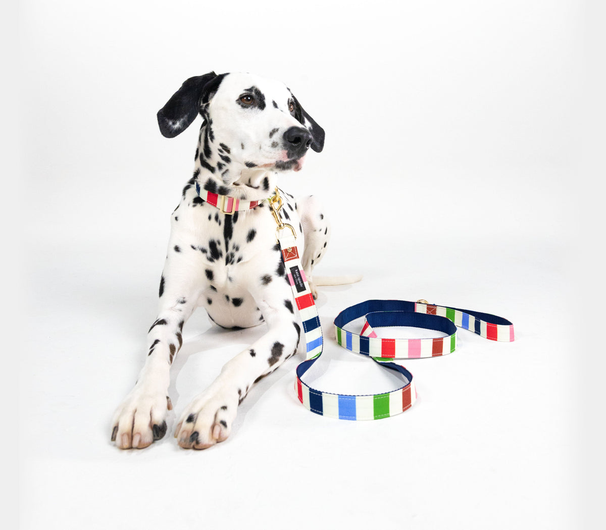Adventure Stripe Leash
