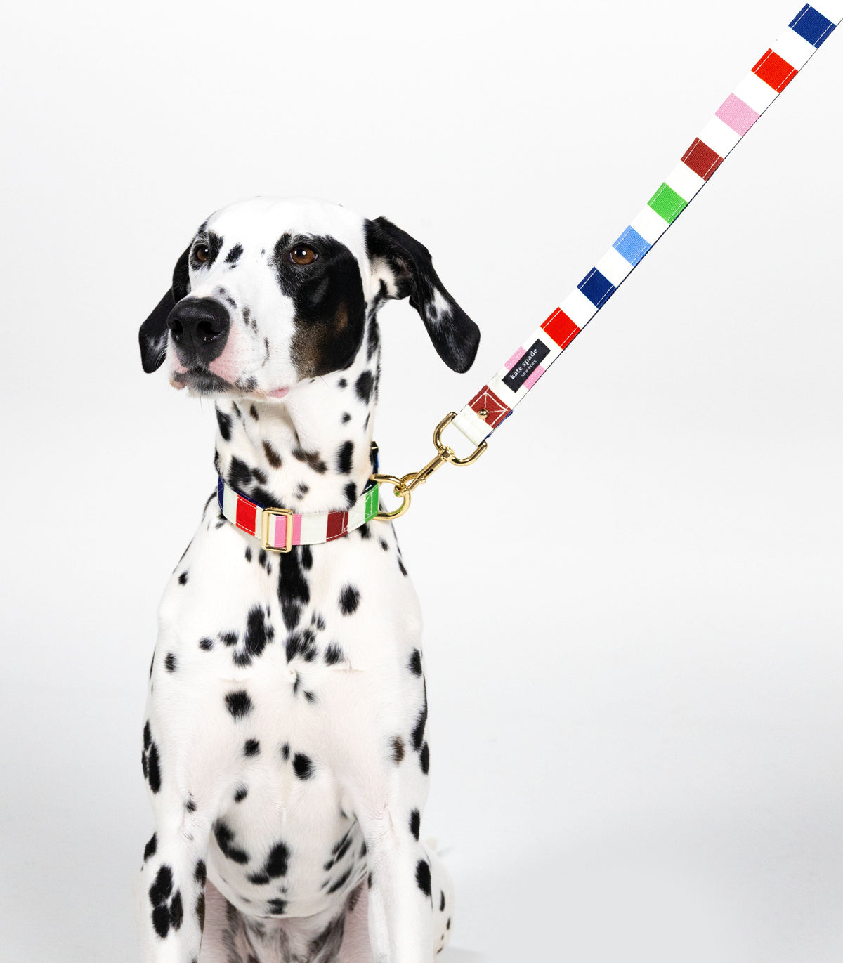 Kate Spade New York Adventure Stripe Collar