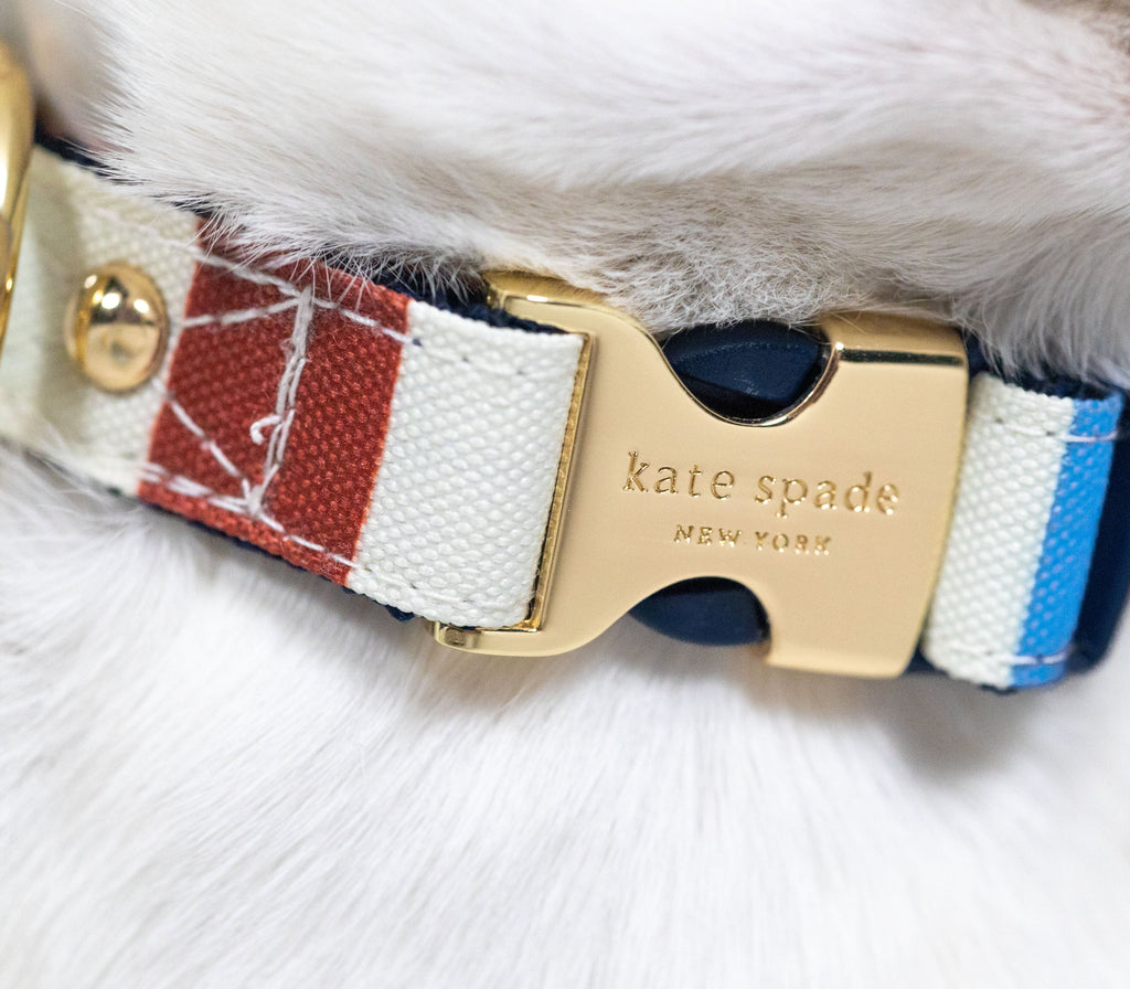 Kate Spade New York Adventure Stripe Collar