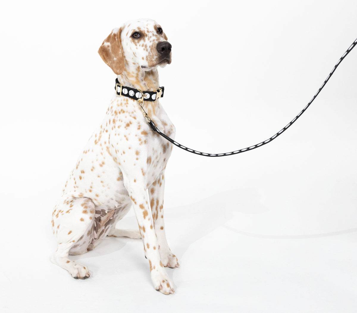 Kate Spade New York Art Dot Leash