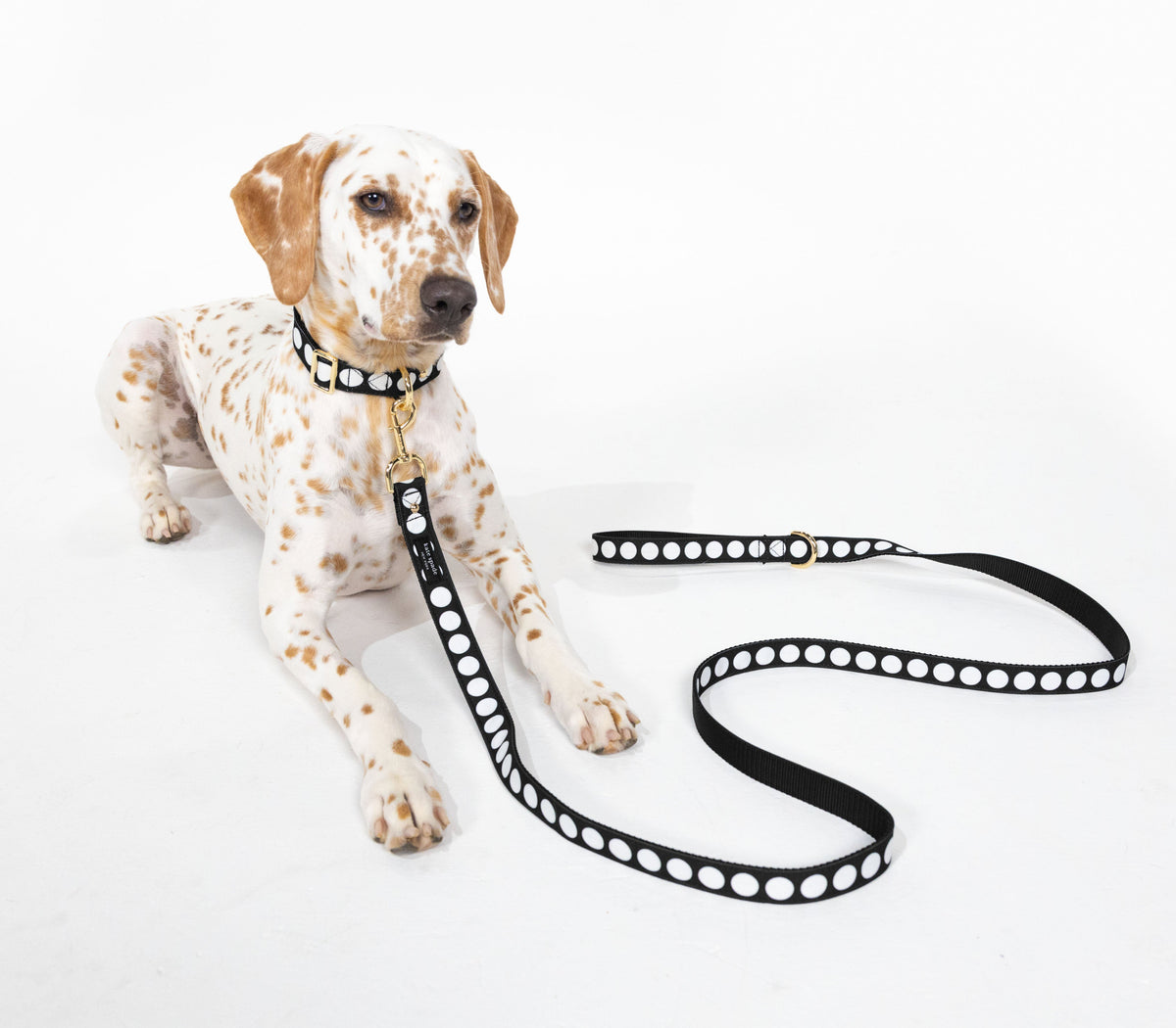 Kate Spade New York Art Dot Leash