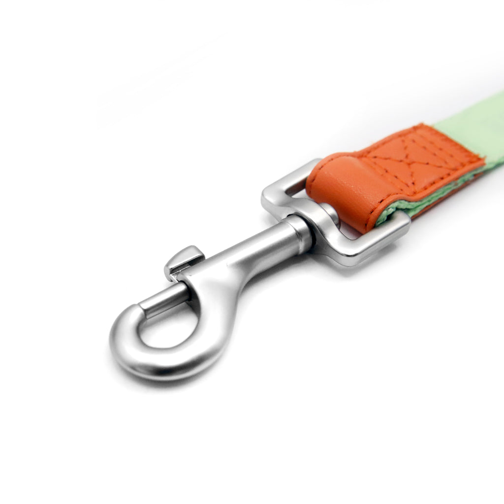 florence by mills Dog Leash