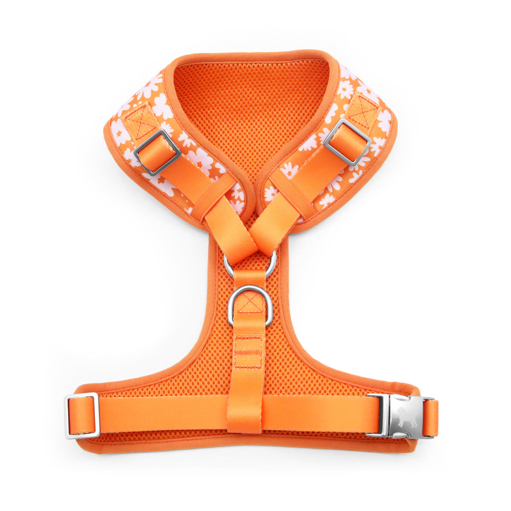 florence by mills Print Harness for Dogs