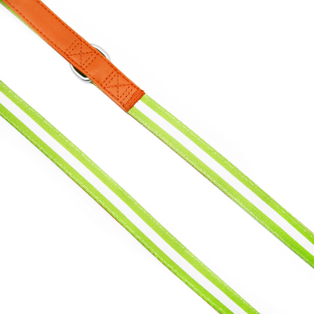 florence by mills Appleskin Leather Dog Leash