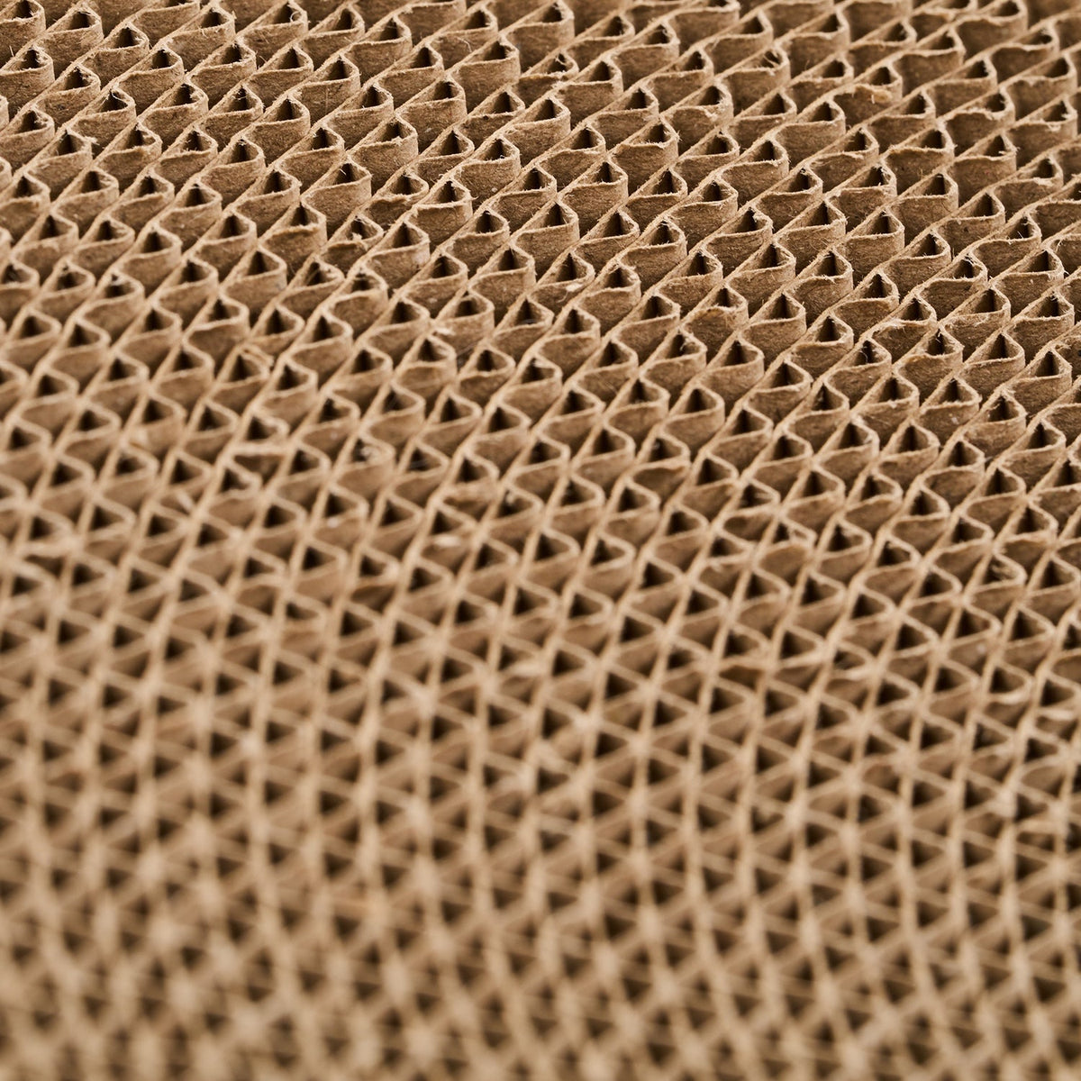 Round Scratch Lounger