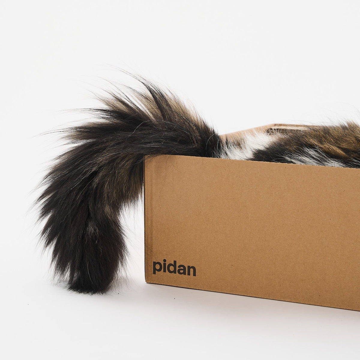 Box Cat Scratcher and Lounge