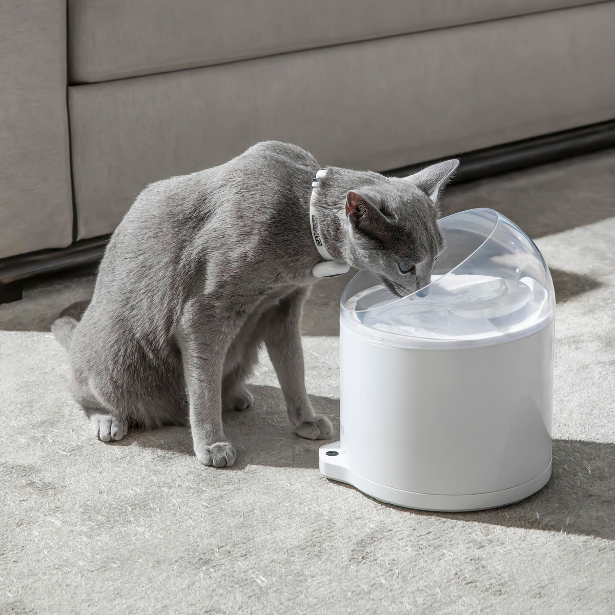 CATLINK Wireless Pump & Ultra-Filtration Water Fountain - PURE 2 Double Set