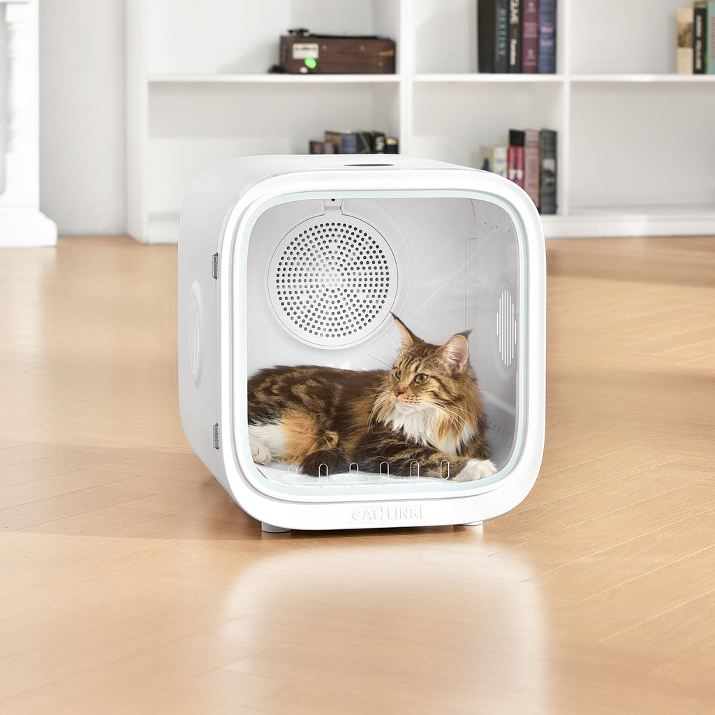 CATLINK Smart Pet Dryer - Standard