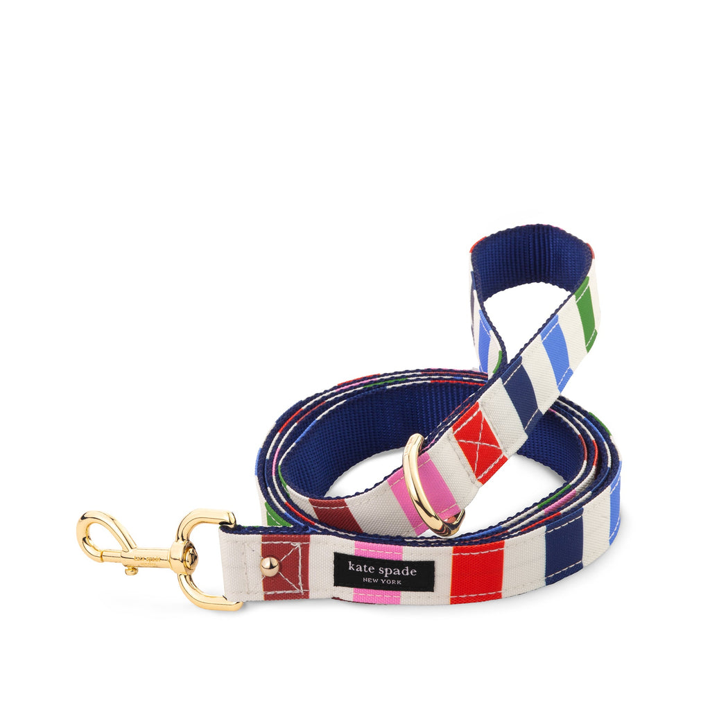 Adventure Stripe Leash