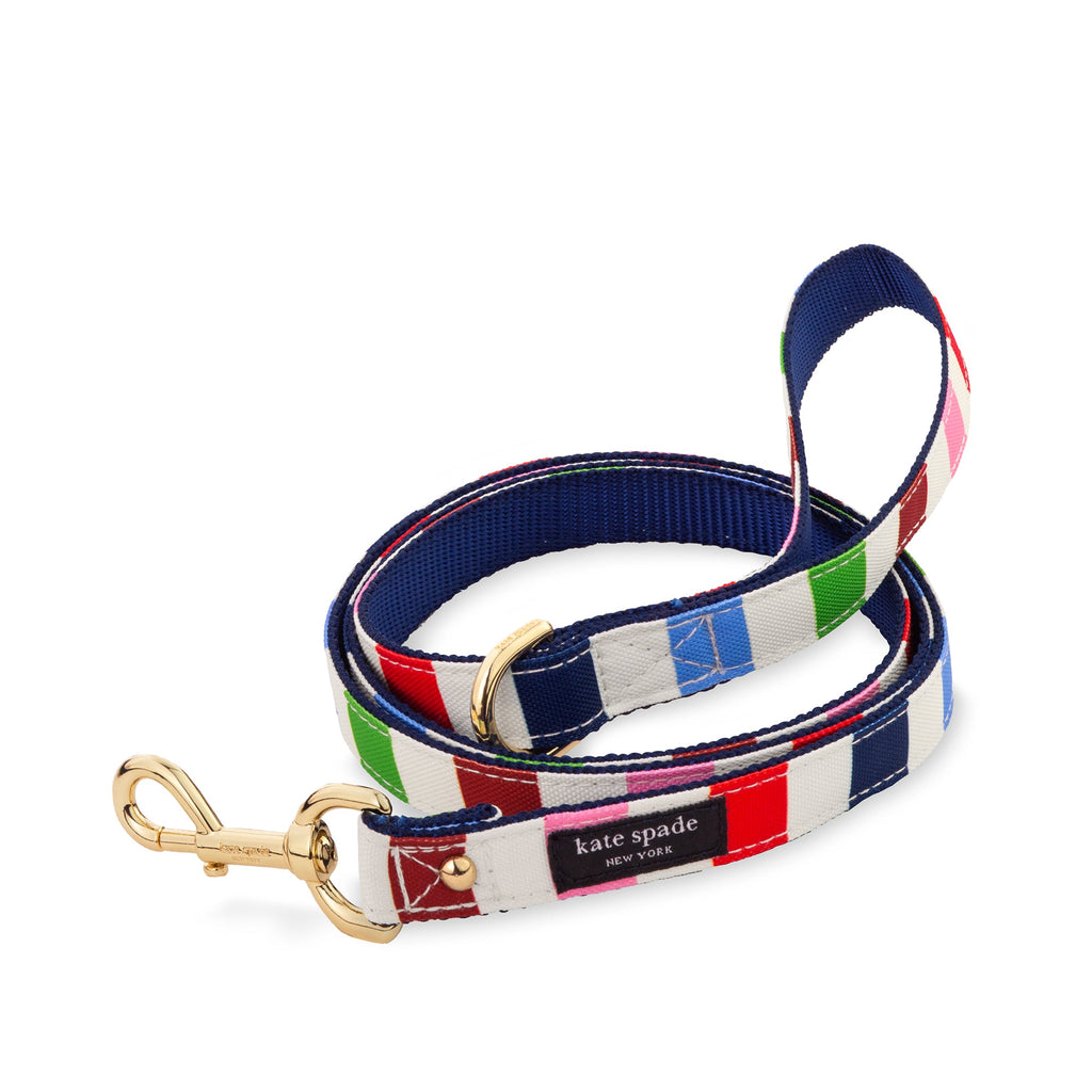 Adventure Stripe Leash