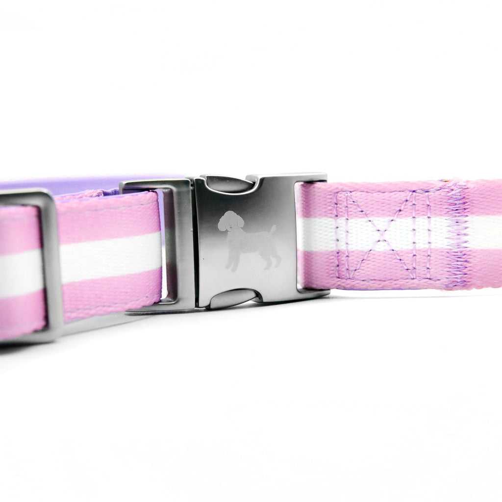 florence by mills Crossbody Dog Leash