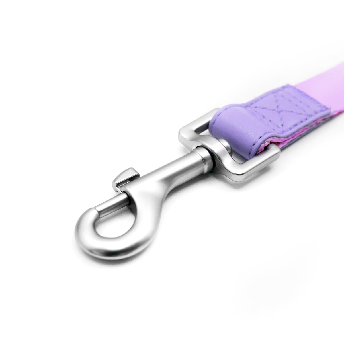 florence by mills Dog Leash