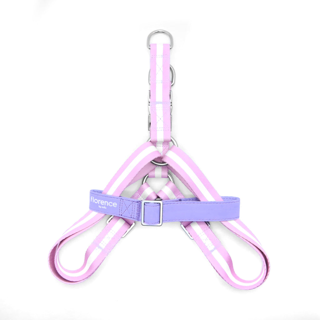 florence by mills Appleskin Leather Dog Harness