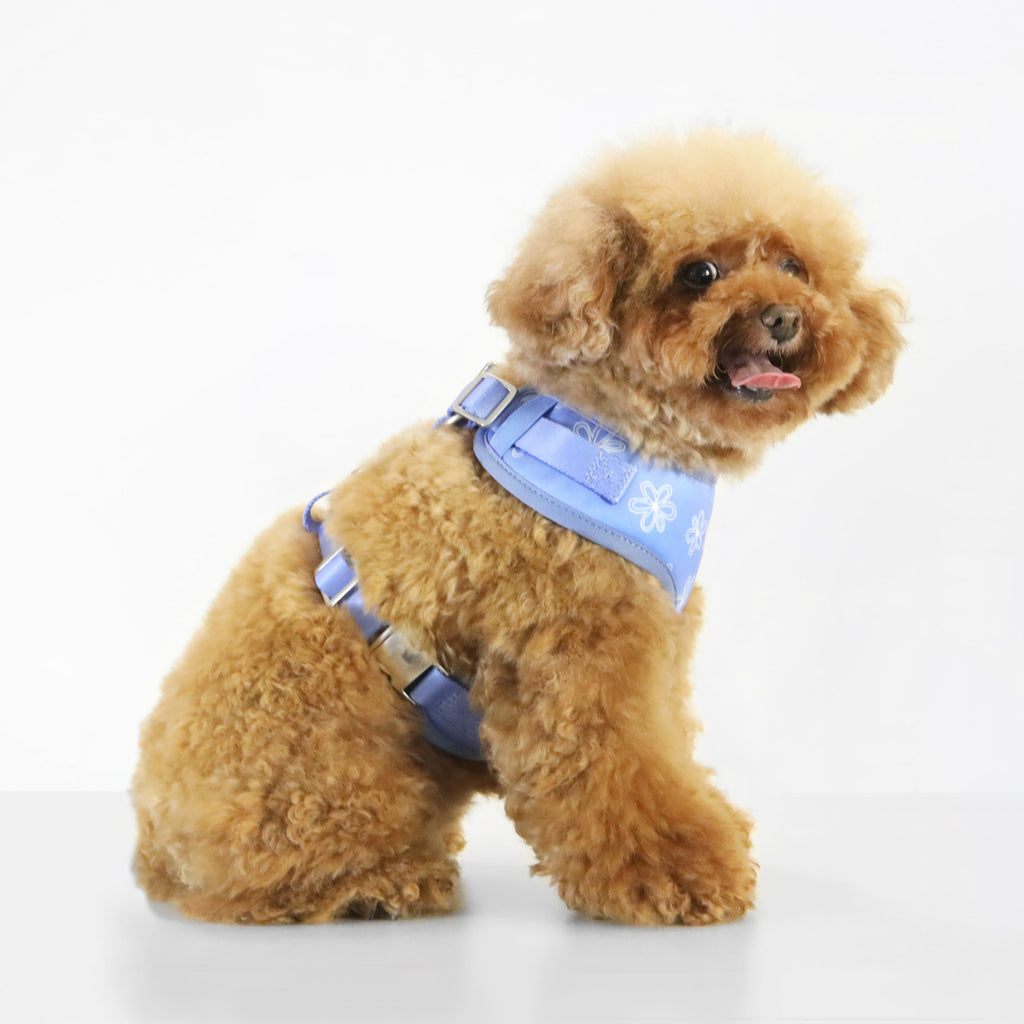 florence by mills Print Harness for Dogs