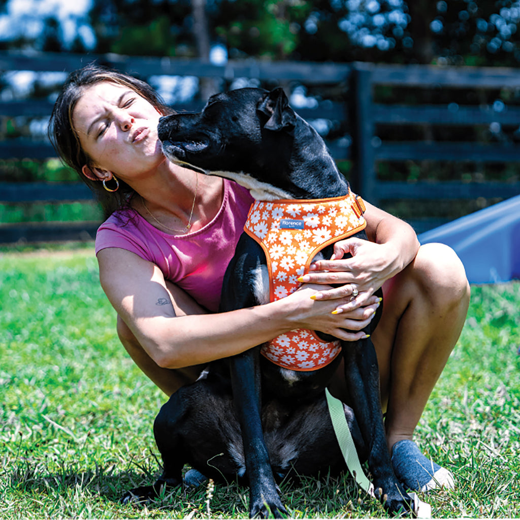 florence by mills Print Harness for Dogs
