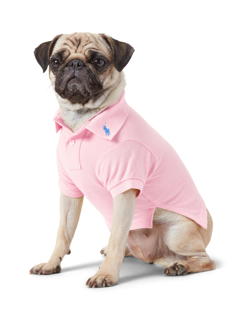 Polo Ralph Lauren Cotton-Mesh Dog Polo Shirt (Fashion)