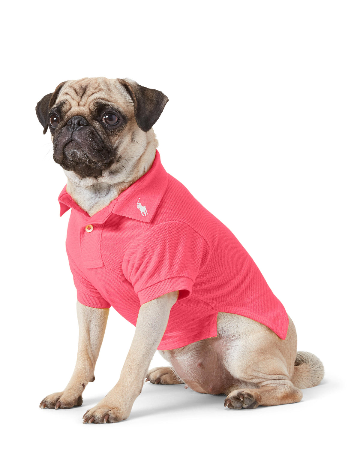 Polo Ralph Lauren Cotton-Mesh Dog Polo Shirt (Fashion)