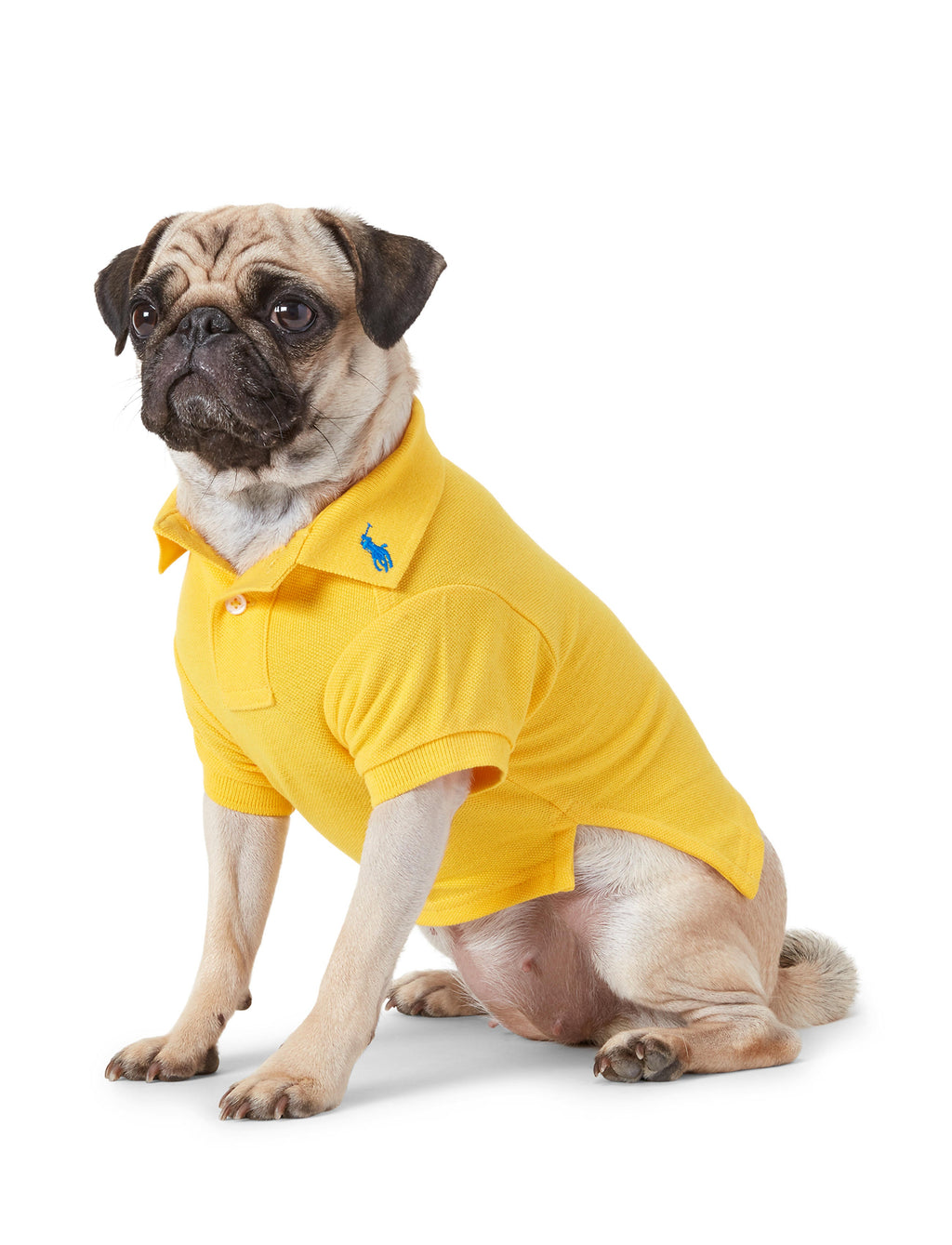 Polo Ralph Lauren Cotton-Mesh Dog Polo Shirt (Fashion)