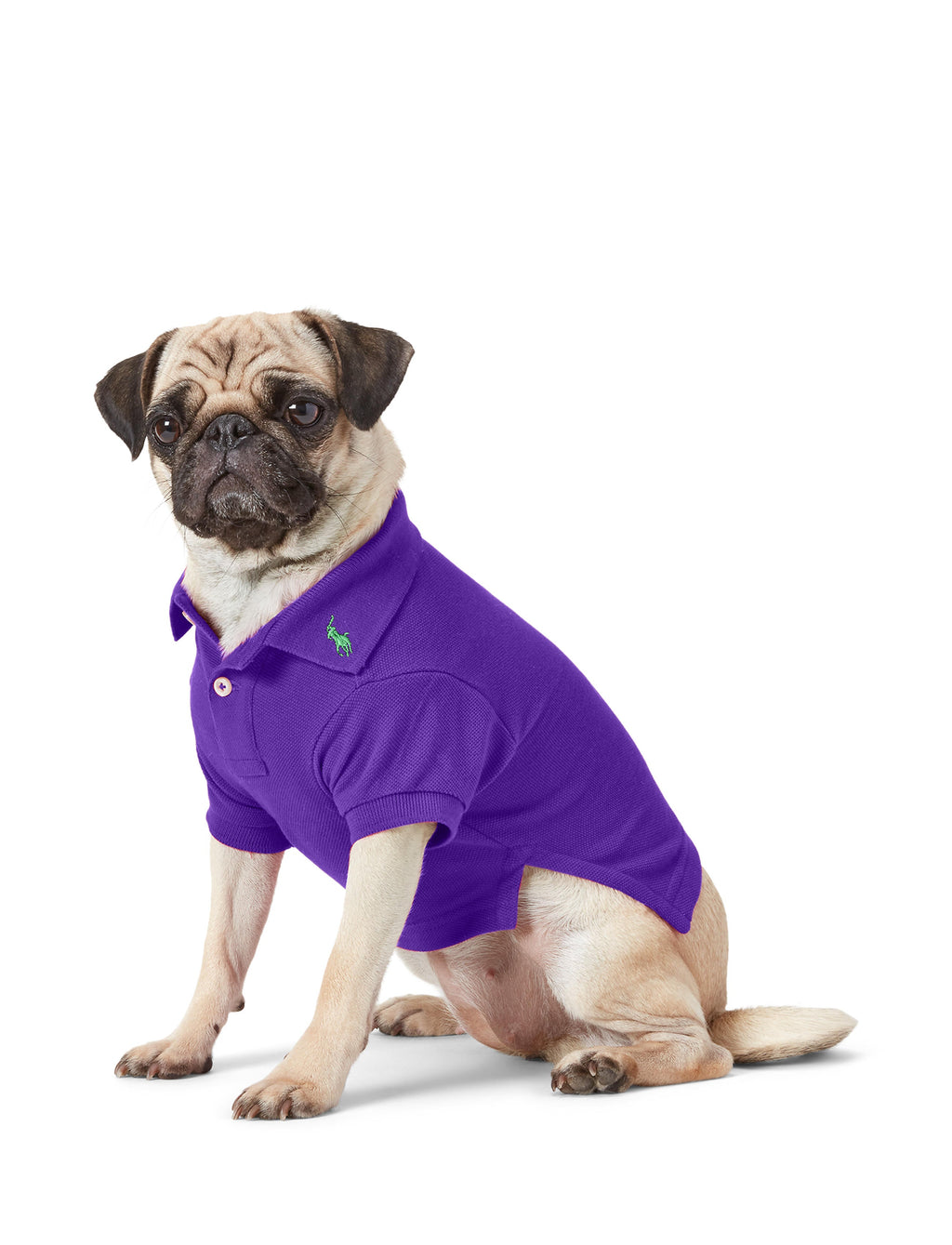 Polo Ralph Lauren Cotton-Mesh Dog Polo Shirt (Fashion)