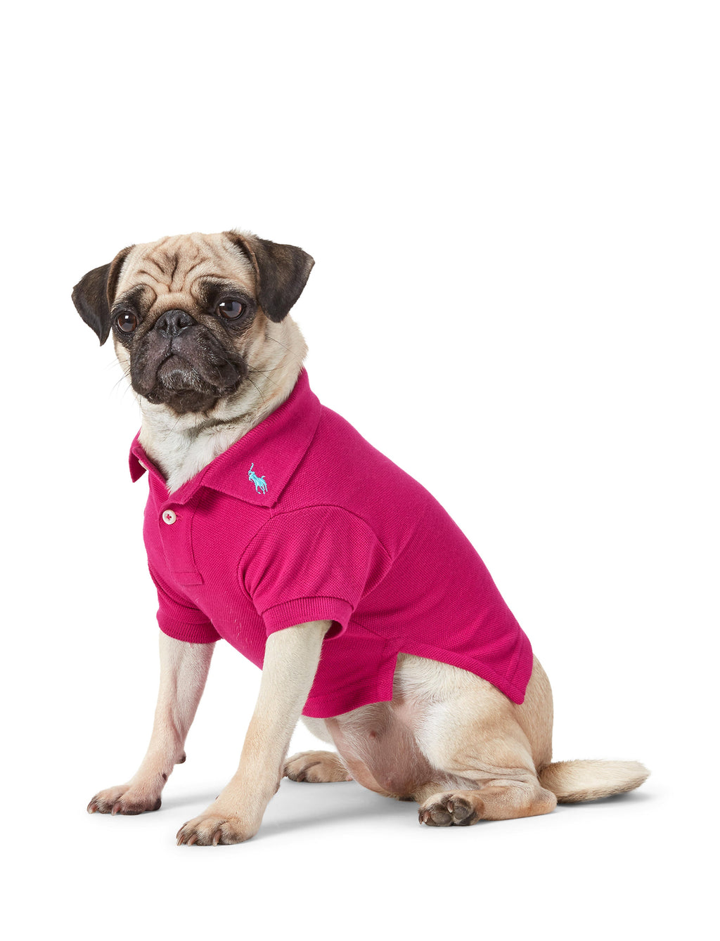Polo Ralph Lauren Cotton-Mesh Dog Polo Shirt (Fashion)