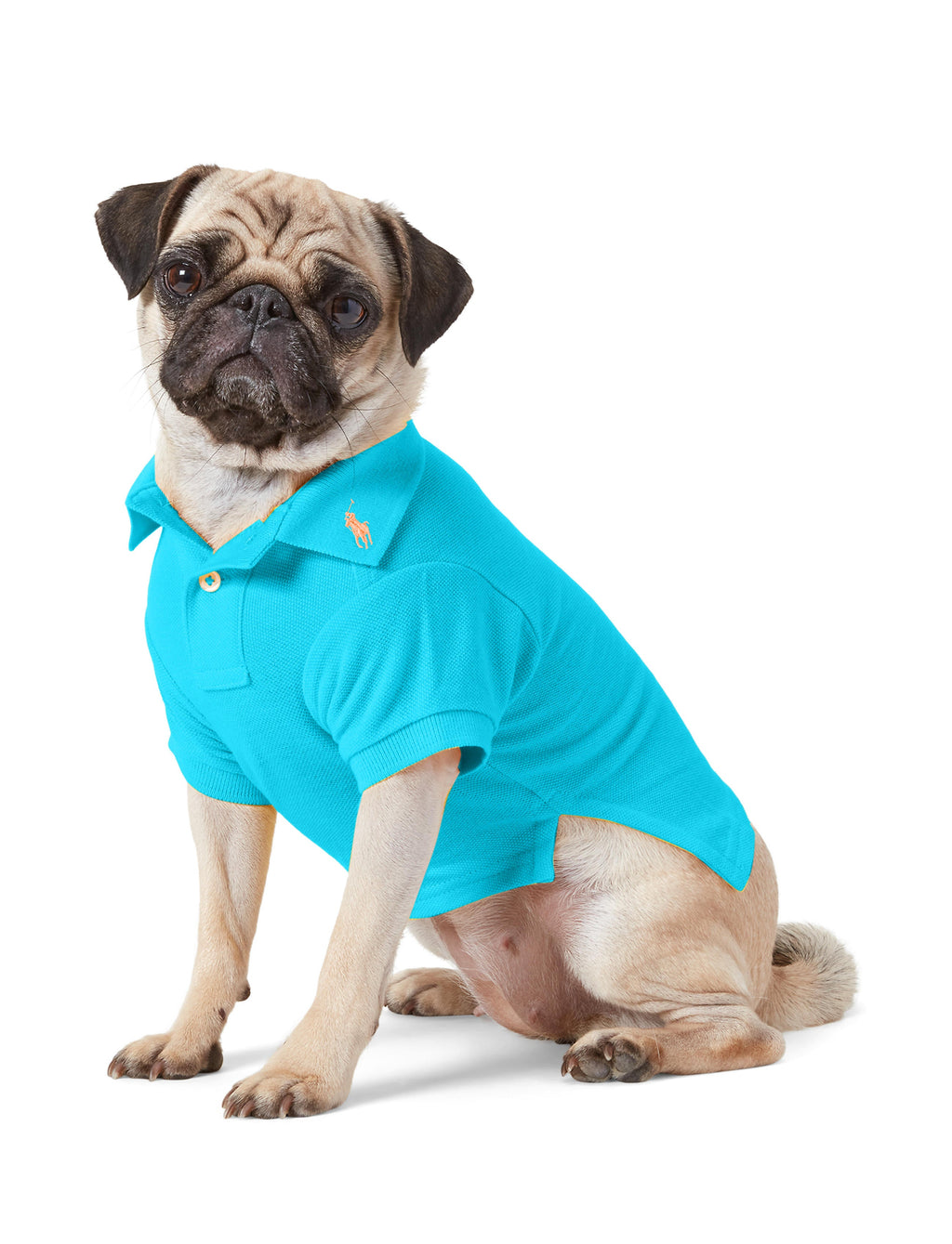 Polo Ralph Lauren Cotton-Mesh Dog Polo Shirt (Fashion)