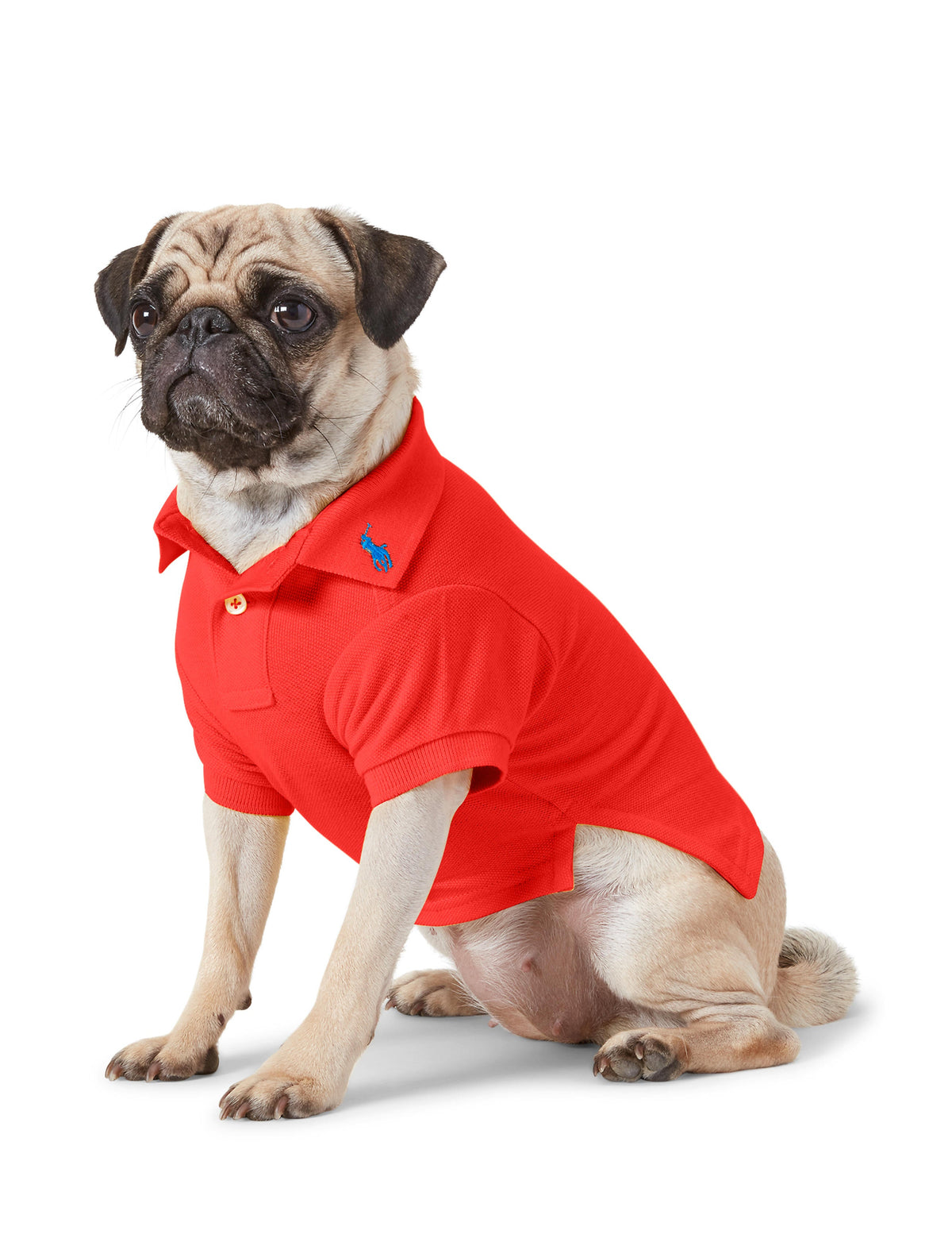 Polo Ralph Lauren Cotton-Mesh Dog Polo Shirt (Fashion)