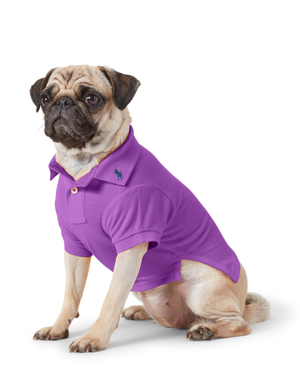Polo Ralph Lauren Cotton-Mesh Dog Polo Shirt (Fashion)