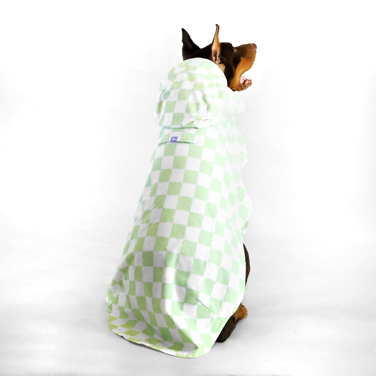 florence by mills Raincoat for Dogs