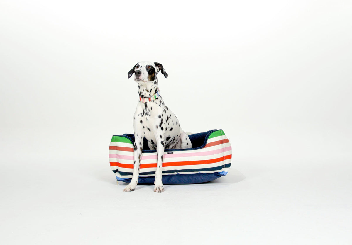 Kate Spade New York Adventure Stripe Pet Bed