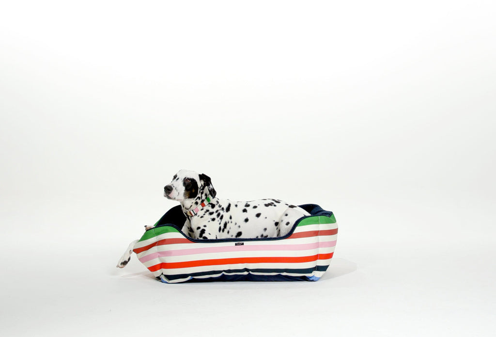Kate Spade New York Adventure Stripe Pet Bed