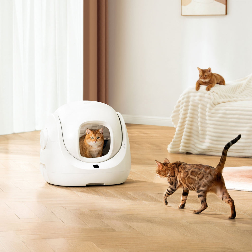 CATLINK Smart Litter Box - Scooper SE