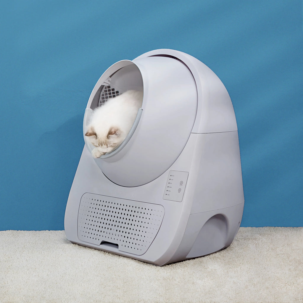 CATLINK Self Cleaning Litter Box - Scooper Young Pro-X
