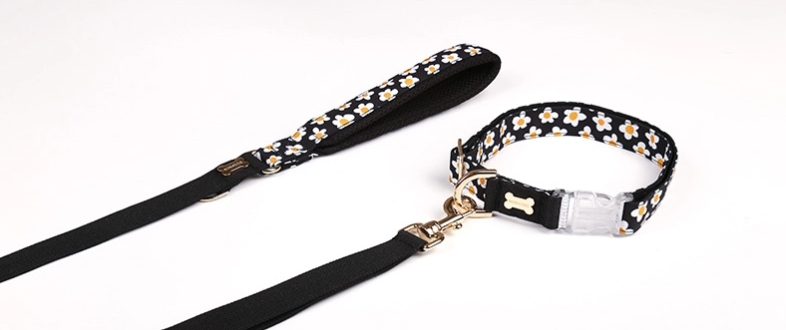 NORADOG Daisy Collar