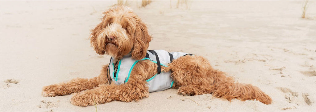 Suitical DRY Evaporative Cooling Vest for Dogs & Cats