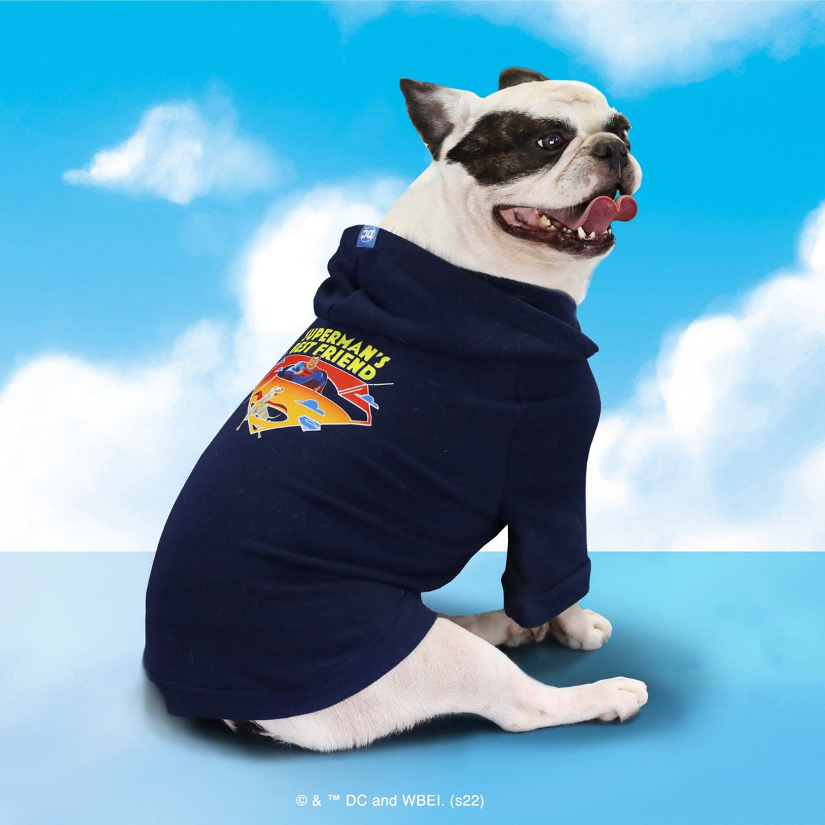 Super-Pets Sweatshirt Hoodie (Chip)