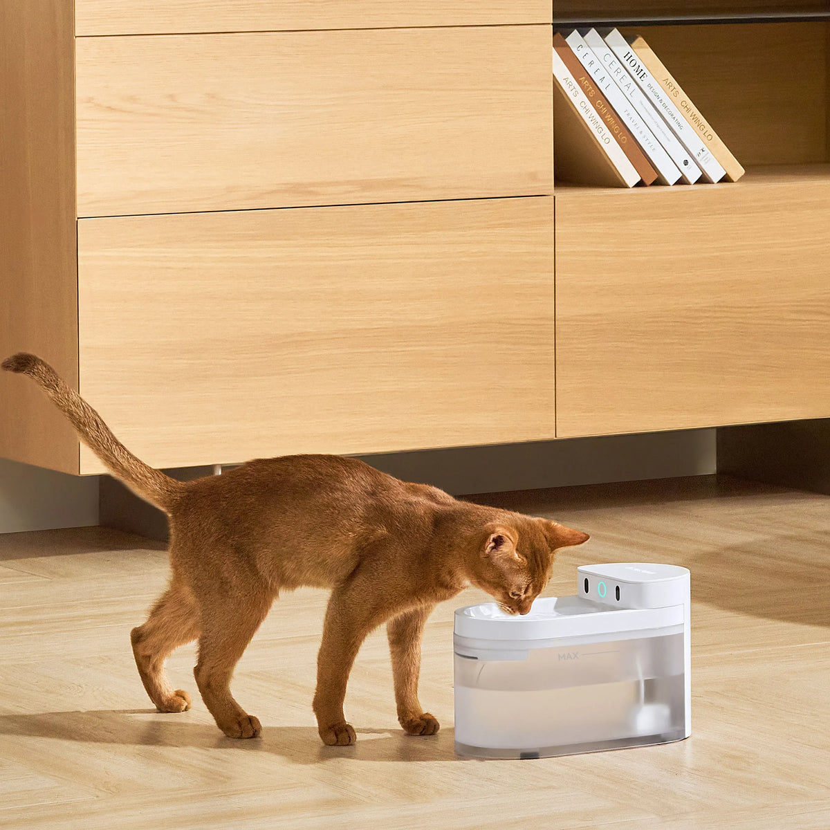 CATLINK AI Water Fountain - Wireless