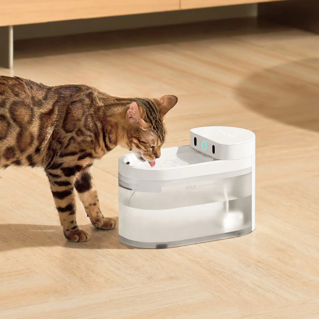 CATLINK AI Water Fountain - Wireless