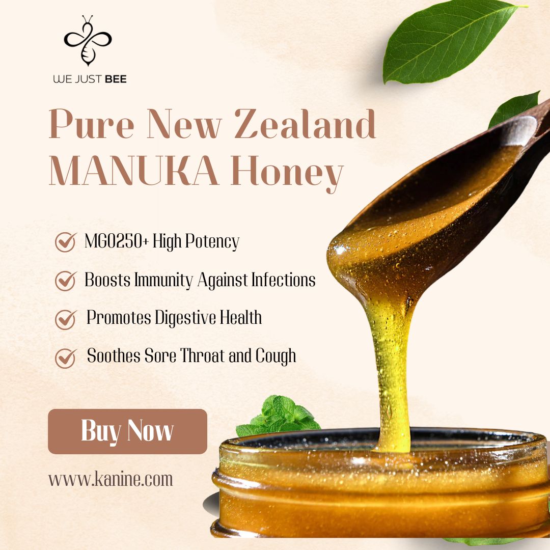 We Just Bee MGO250+ Manuka Honey for Dogs 250g | Immunity & Gut Health | New Zealand