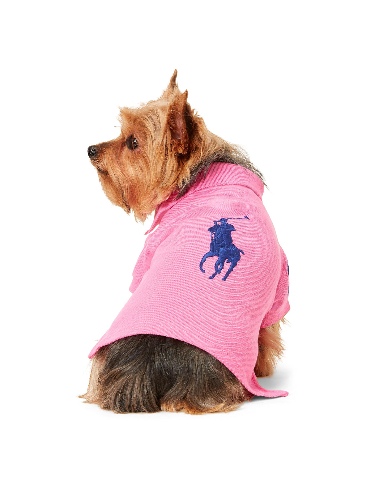 Polo Ralph Lauren Big-Pony Mesh Dog Polo Shirt