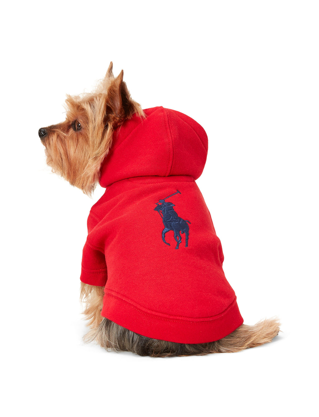 Polo Ralph Lauren Big-Pony Fleece Dog Hoodie