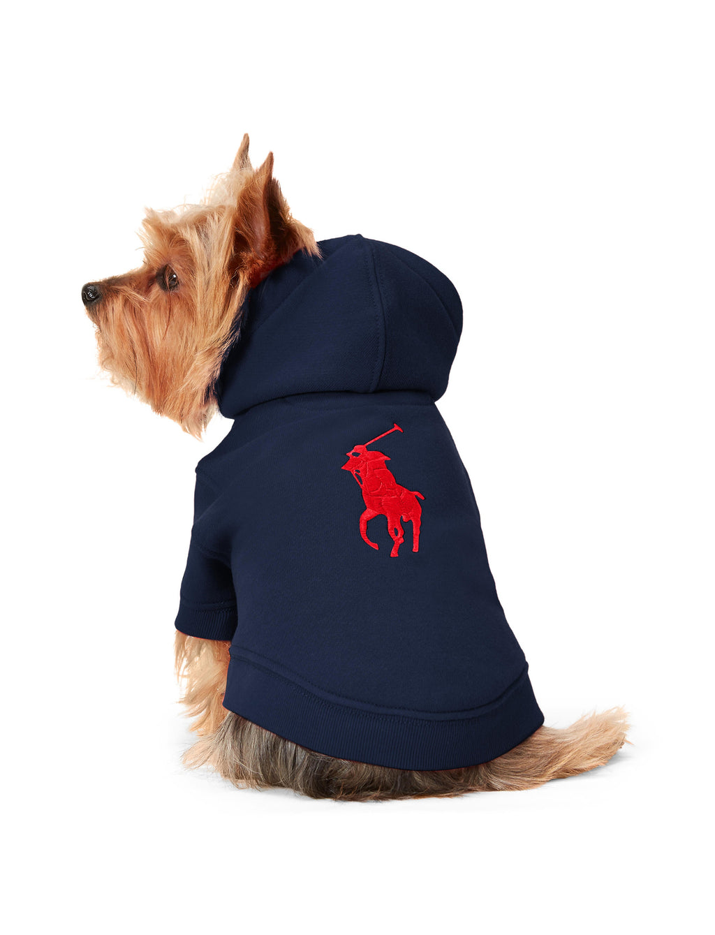 Polo Ralph Lauren Big-Pony Fleece Dog Hoodie