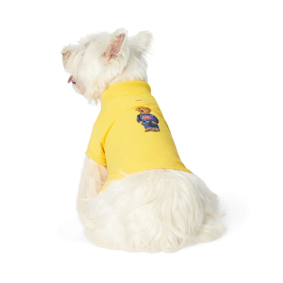 Polo Ralph Lauren Dogs-Polo Bear Shirt