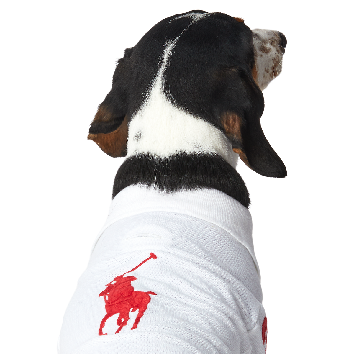 Polo Ralph Lauren Big-Pony Mesh Dog Polo Shirt
