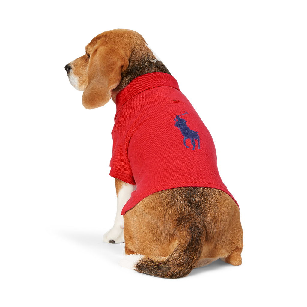 Polo Ralph Lauren Big-Pony Mesh Dog Polo Shirt