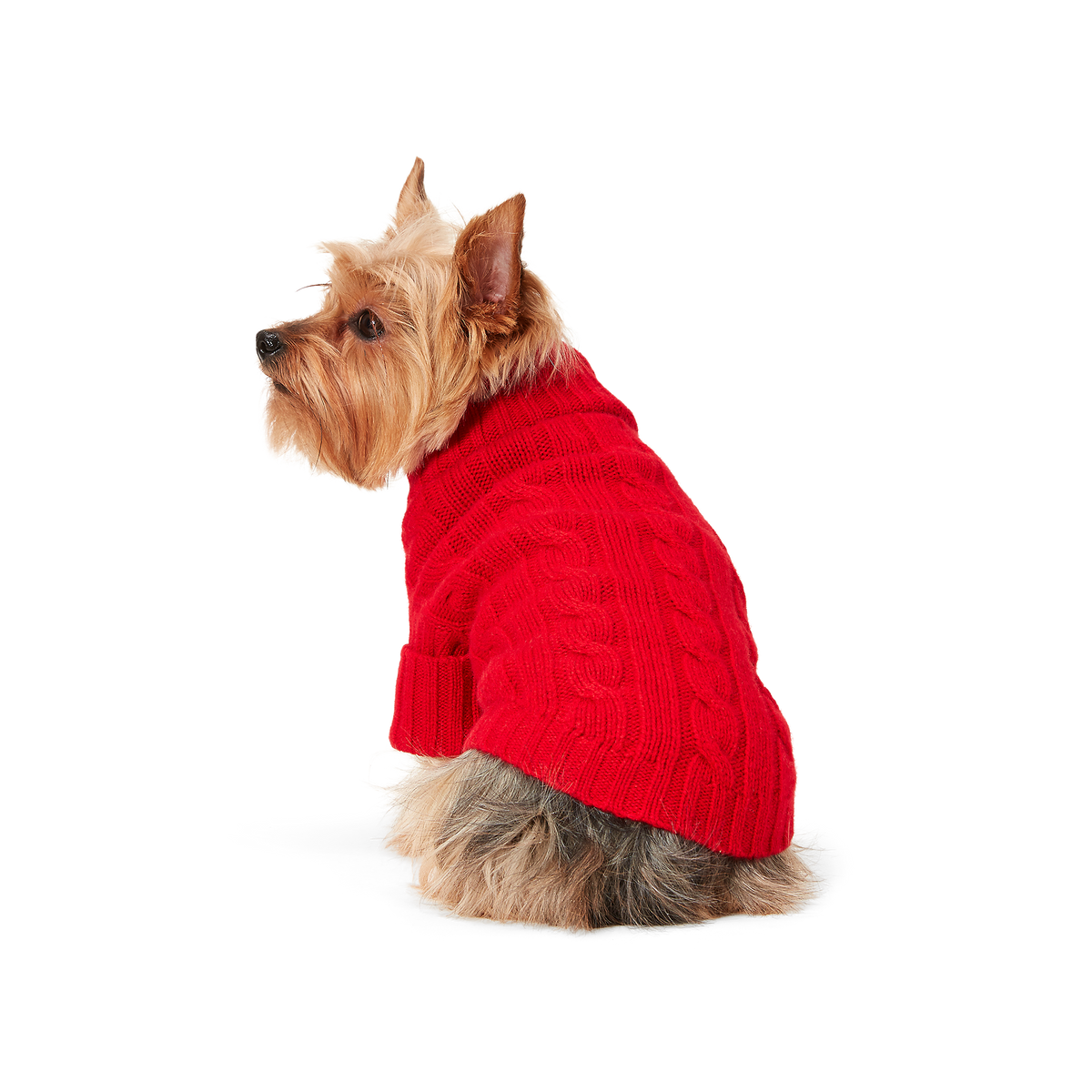 Polo Ralph Lauren Cable-Cashmere Dog Jumper