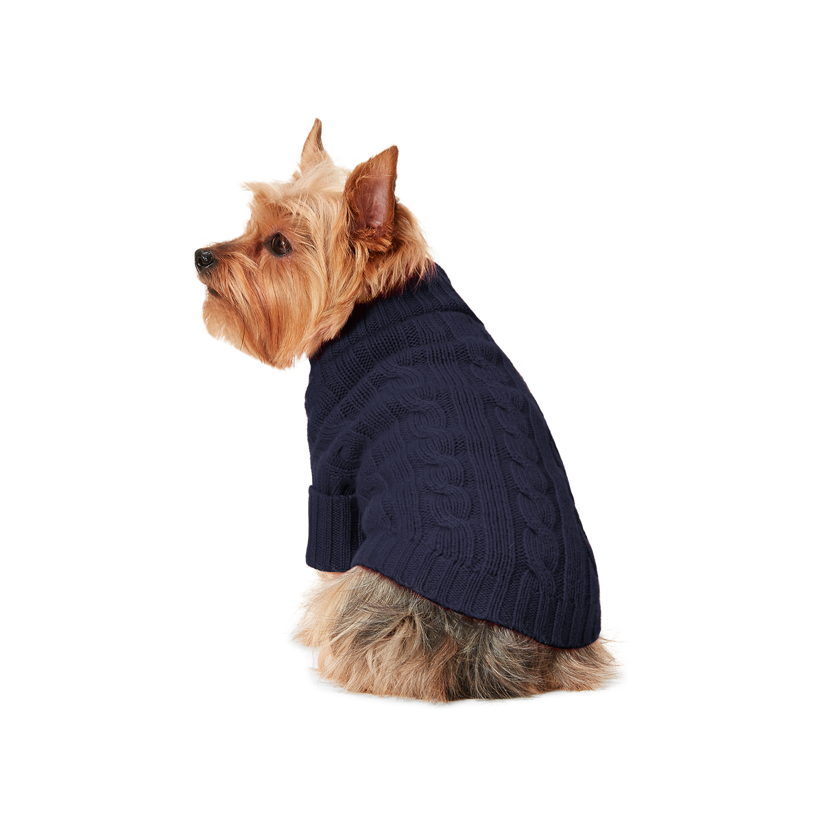 Polo Ralph Lauren Cable-Cashmere Dog Jumper