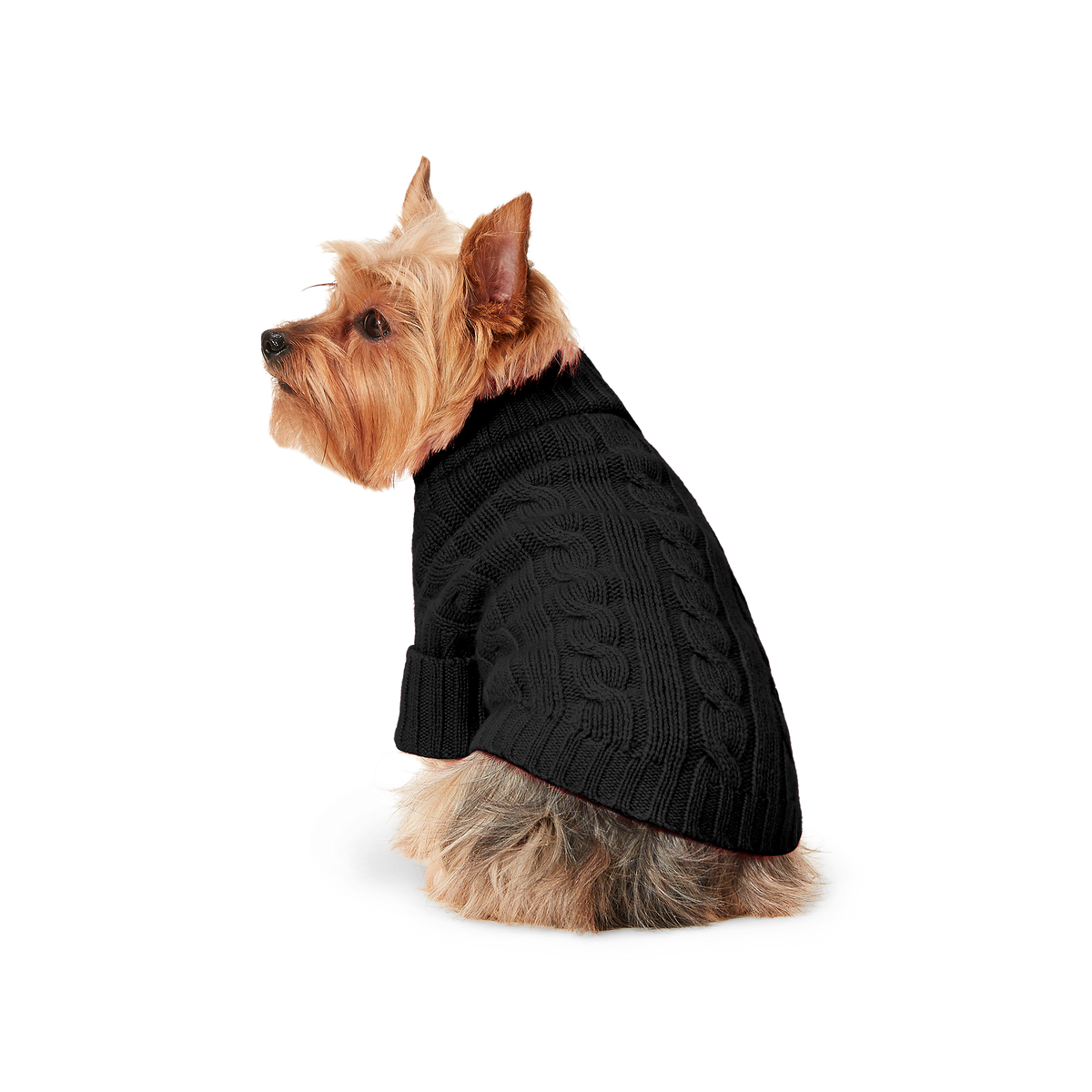 Polo Ralph Lauren Cable-Cashmere Dog Jumper